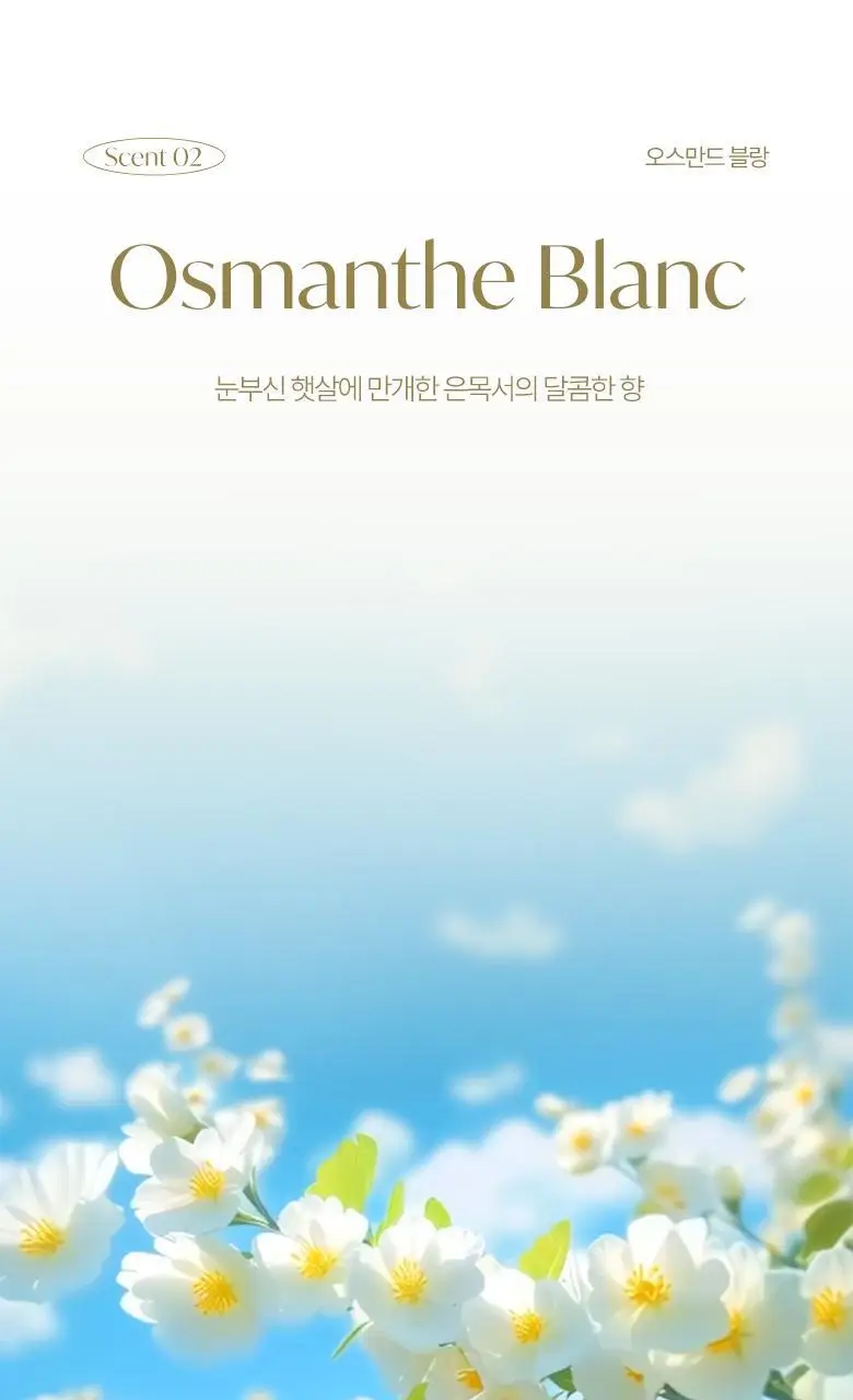 [2+1] 라운드어라운드 센티드 배쓰밤 80g 4종 상세페이지 10